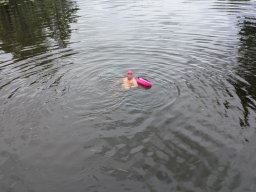 Mainschwimmen Juni 2026